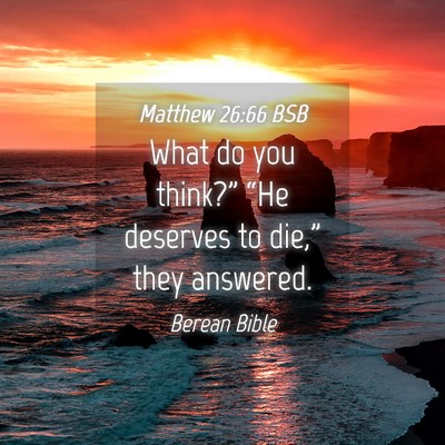Picture 04 - Matthew 26:66 BSB - What do you think?” “He deserves to die,” - Bible Verse Picture