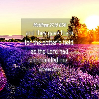 Picture 04 - Matthew 27:10 BSB - and they gave them for the potter’s field, as - Bible Verse Picture