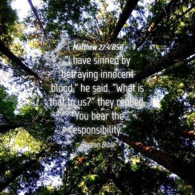 Picture 04 - Matthew 27:4 BSB - “I have sinned by betraying innocent blood,” - Bible Verse Picture