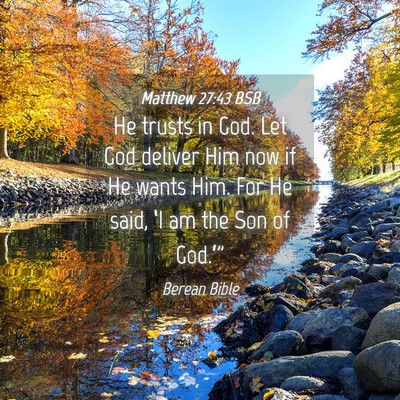 Picture 04 - Matthew 27:43 BSB - He trusts in God. Let God deliver Him now if He - Bible Verse Picture