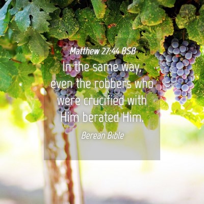 Picture 04 - Matthew 27:44 BSB - In the same way, even the robbers who were - Bible Verse Picture