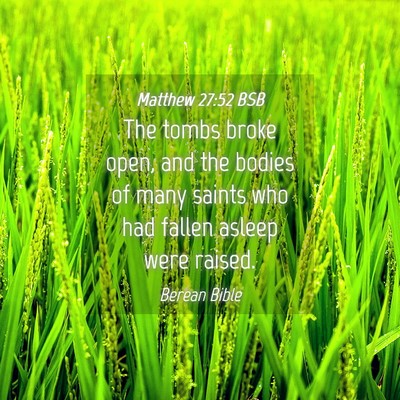Picture 04 - Matthew 27:52 BSB - The tombs broke open, and the bodies of many - Bible Verse Picture