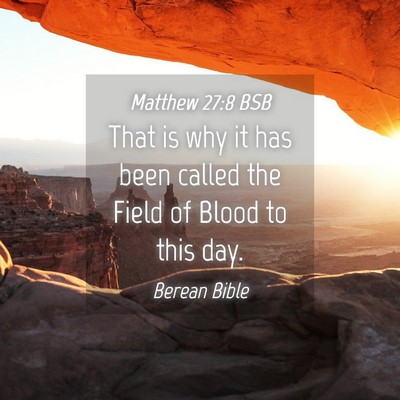 Picture 04 - Matthew 27:8 BSB - That is why it has been called the Field of Blood - Bible Verse Picture