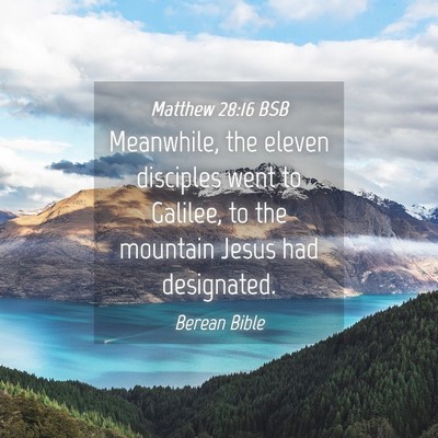 Picture 04 - Matthew 28:16 BSB - Meanwhile, the eleven disciples went to Galilee, - Bible Verse Picture