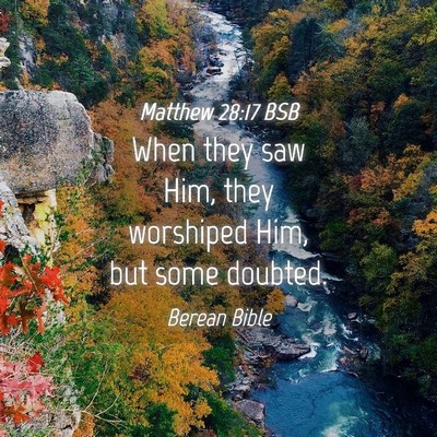 Picture 04 - Matthew 28:17 BSB - When they saw Him, they worshiped Him, but some - Bible Verse Picture