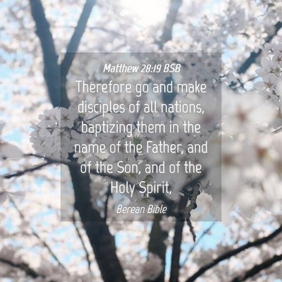 Picture 04 - Matthew 28:19 BSB - Therefore go and make disciples of all nations, - Bible Verse Picture