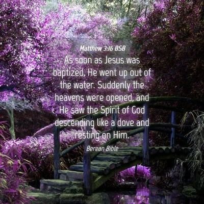 Picture 04 - Matthew 3:16 BSB - As soon as Jesus was baptized, He went up out of - Bible Verse Picture