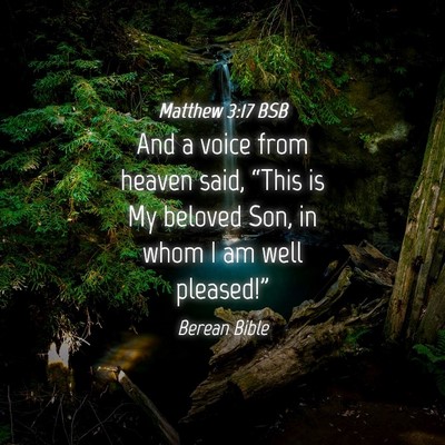 Picture 04 - Matthew 3:17 BSB - And a voice from heaven said, “This is My - Bible Verse Picture