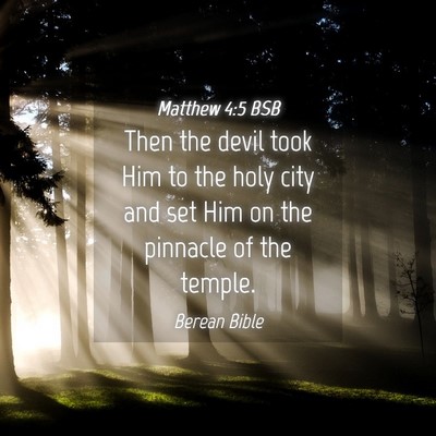 Picture 04 - Matthew 4:5 BSB - Then the devil took Him to the holy city and set - Bible Verse Picture