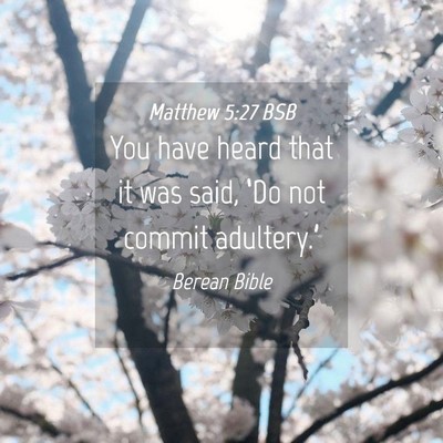 Picture 04 - Matthew 5:27 BSB - You have heard that it was said, ‘Do not commit - Bible Verse Picture