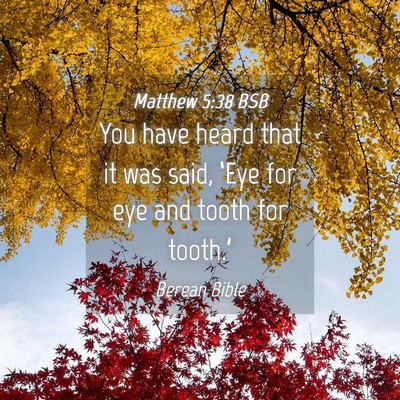 Picture 04 - Matthew 5:38 BSB - You have heard that it was said, ‘Eye for eye - Bible Verse Picture