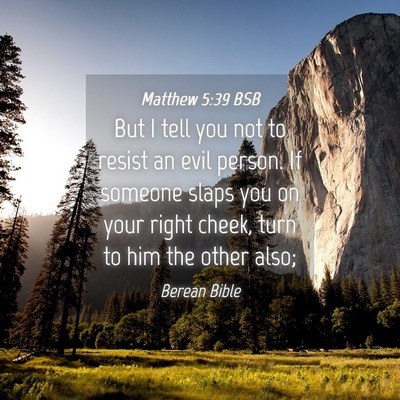 Picture 04 - Matthew 5:39 BSB - But I tell you not to resist an evil person. If - Bible Verse Picture
