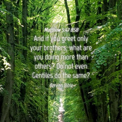Picture 04 - Matthew 5:47 BSB - And if you greet only your brothers, what are you - Bible Verse Picture