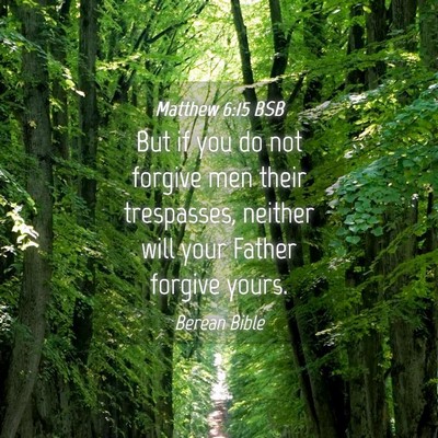 Picture 04 - Matthew 6:15 BSB - But if you do not forgive men their trespasses, - Bible Verse Picture