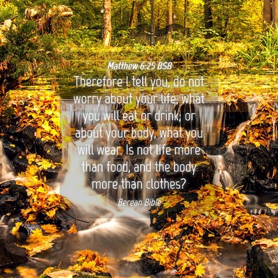 Picture 04 - Matthew 6:25 BSB - Therefore I tell you, do not worry about your - Bible Verse Picture