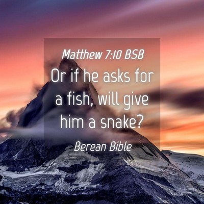 Picture 04 - Matthew 7:10 BSB - Or if he asks for a fish, will give him a - Bible Verse Picture