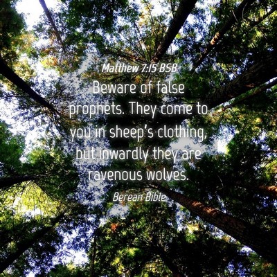 Picture 04 - Matthew 7:15 BSB - Beware of false prophets. They come to you in - Bible Verse Picture