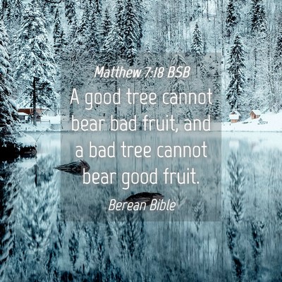 Picture 04 - Matthew 7:18 BSB - A good tree cannot bear bad fruit, and a bad tree - Bible Verse Picture