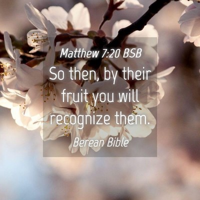 Picture 04 - Matthew 7:20 BSB - So then, by their fruit you will recognize - Bible Verse Picture