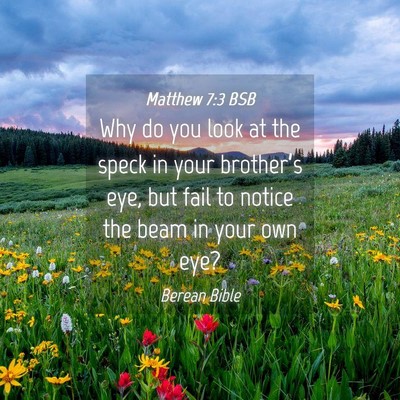 Picture 04 - Matthew 7:3 BSB - Why do you look at the speck in your brother’s - Bible Verse Picture