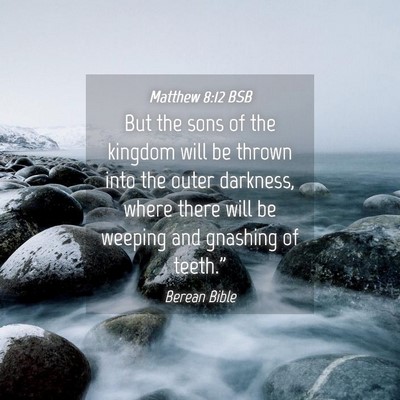 Picture 04 - Matthew 8:12 BSB - But the sons of the kingdom will be thrown into - Bible Verse Picture