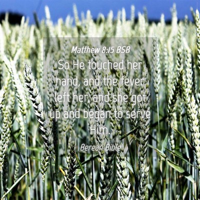 Picture 04 - Matthew 8:15 BSB - So He touched her hand, and the fever left her, - Bible Verse Picture