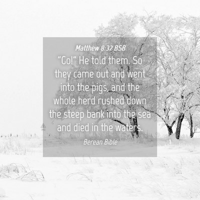 Picture 04 - Matthew 8:32 BSB - “Go!” He told them. So they came out and went - Bible Verse Picture
