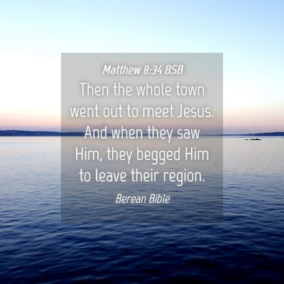 Picture 04 - Matthew 8:34 BSB - Then the whole town went out to meet Jesus. And - Bible Verse Picture