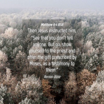Picture 04 - Matthew 8:4 BSB - Then Jesus instructed him, “See that you - Bible Verse Picture