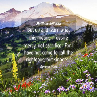 Picture 04 - Matthew 9:13 BSB - But go and learn what this means: ‘I desire - Bible Verse Picture