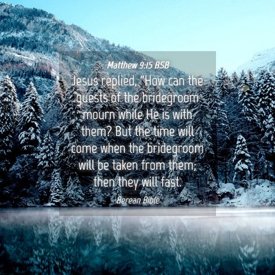 Picture 04 - Matthew 9:15 BSB - Jesus replied, “How can the guests of the - Bible Verse Picture