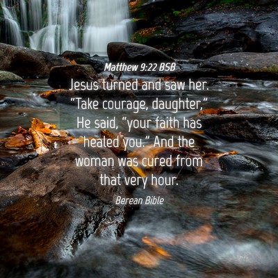 Picture 04 - Matthew 9:22 BSB - Jesus turned and saw her. “Take courage, - Bible Verse Picture