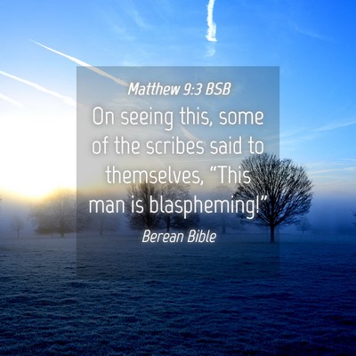 Picture 04 - Matthew 9:3 BSB - On seeing this, some of the scribes said to - Bible Verse Picture