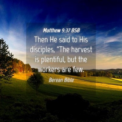 Picture 04 - Matthew 9:37 BSB - Then He said to His disciples, “The harvest is - Bible Verse Picture