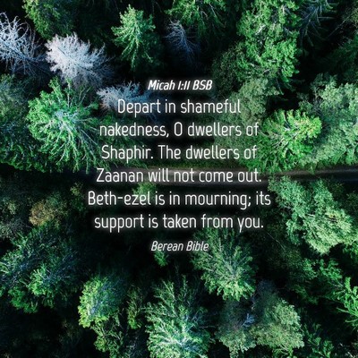 Picture 04 - Micah 1:11 BSB - Depart in shameful nakedness, O dwellers of - Bible Verse Picture