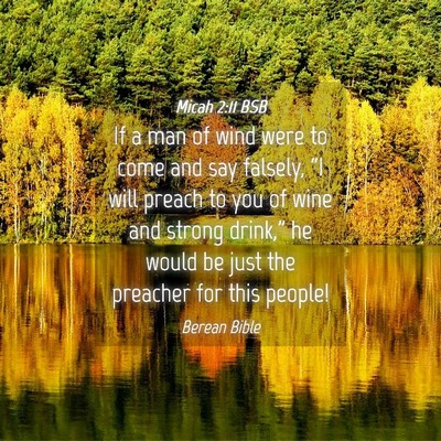Picture 04 - Micah 2:11 BSB - If a man of wind were to come and say falsely, - Bible Verse Picture