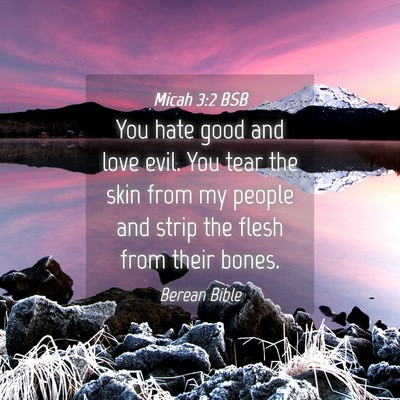 Picture 04 - Micah 3:2 BSB - You hate good and love evil. You tear the skin - Bible Verse Picture