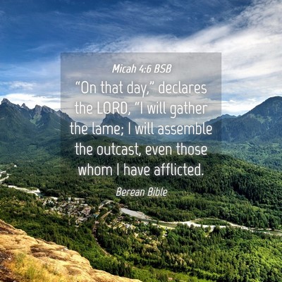Picture 04 - Micah 4:6 BSB - “On that day,” declares the LORD, “I will - Bible Verse Picture