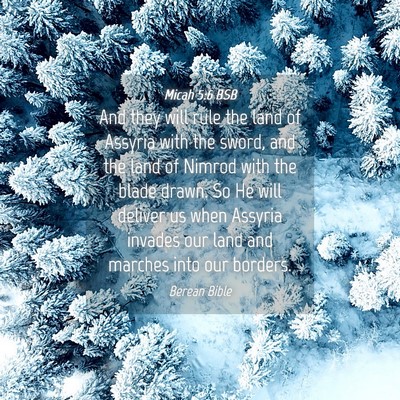 Picture 04 - Micah 5:6 BSB - And they will rule the land of Assyria with the - Bible Verse Picture