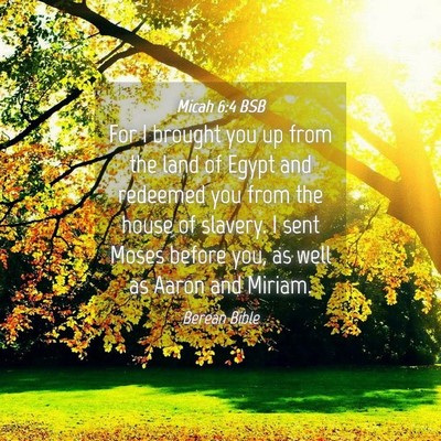 Picture 04 - Micah 6:4 BSB - For I brought you up from the land of Egypt and - Bible Verse Picture
