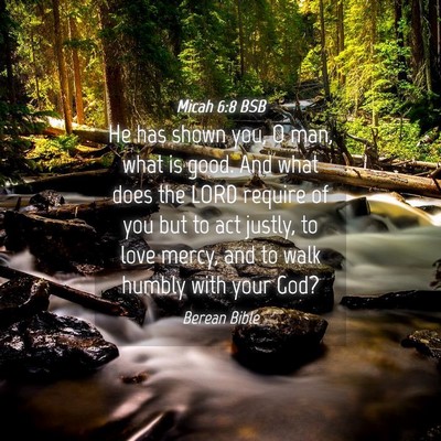 Picture 04 - Micah 6:8 BSB - He has shown you, O man, what is good. And what - Bible Verse Picture