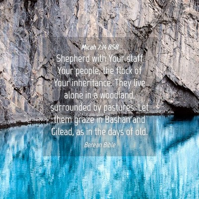 Picture 04 - Micah 7:14 BSB - Shepherd with Your staff Your people, the flock - Bible Verse Picture