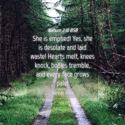 Picture 04 - Nahum 2:10 BSB - She is emptied! Yes, she is desolate and laid - Bible Verse Picture