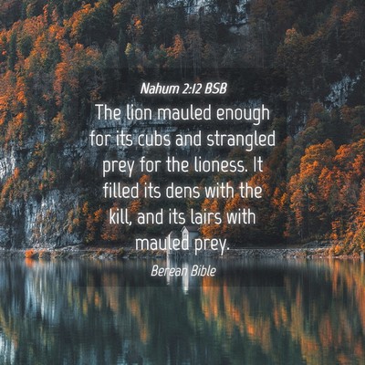 Picture 04 - Nahum 2:12 BSB - The lion mauled enough for its cubs and strangled - Bible Verse Picture