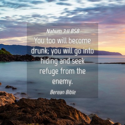 Picture 04 - Nahum 3:11 BSB - You too will become drunk; you will go into - Bible Verse Picture