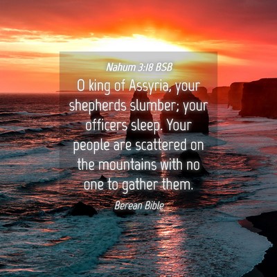 Picture 04 - Nahum 3:18 BSB - O king of Assyria, your shepherds slumber; your - Bible Verse Picture