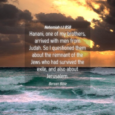 Picture 04 - Nehemiah 1:2 BSB - Hanani, one of my brothers, arrived with men from - Bible Verse Picture