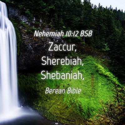 Picture 04 - Nehemiah 10:12 BSB - Zaccur, Sherebiah, - Bible Verse Picture