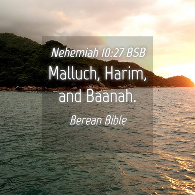 Picture 04 - Nehemiah 10:27 BSB - Malluch, Harim, and - Bible Verse Picture