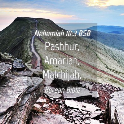 Picture 04 - Nehemiah 10:3 BSB - Pashhur, Amariah, - Bible Verse Picture